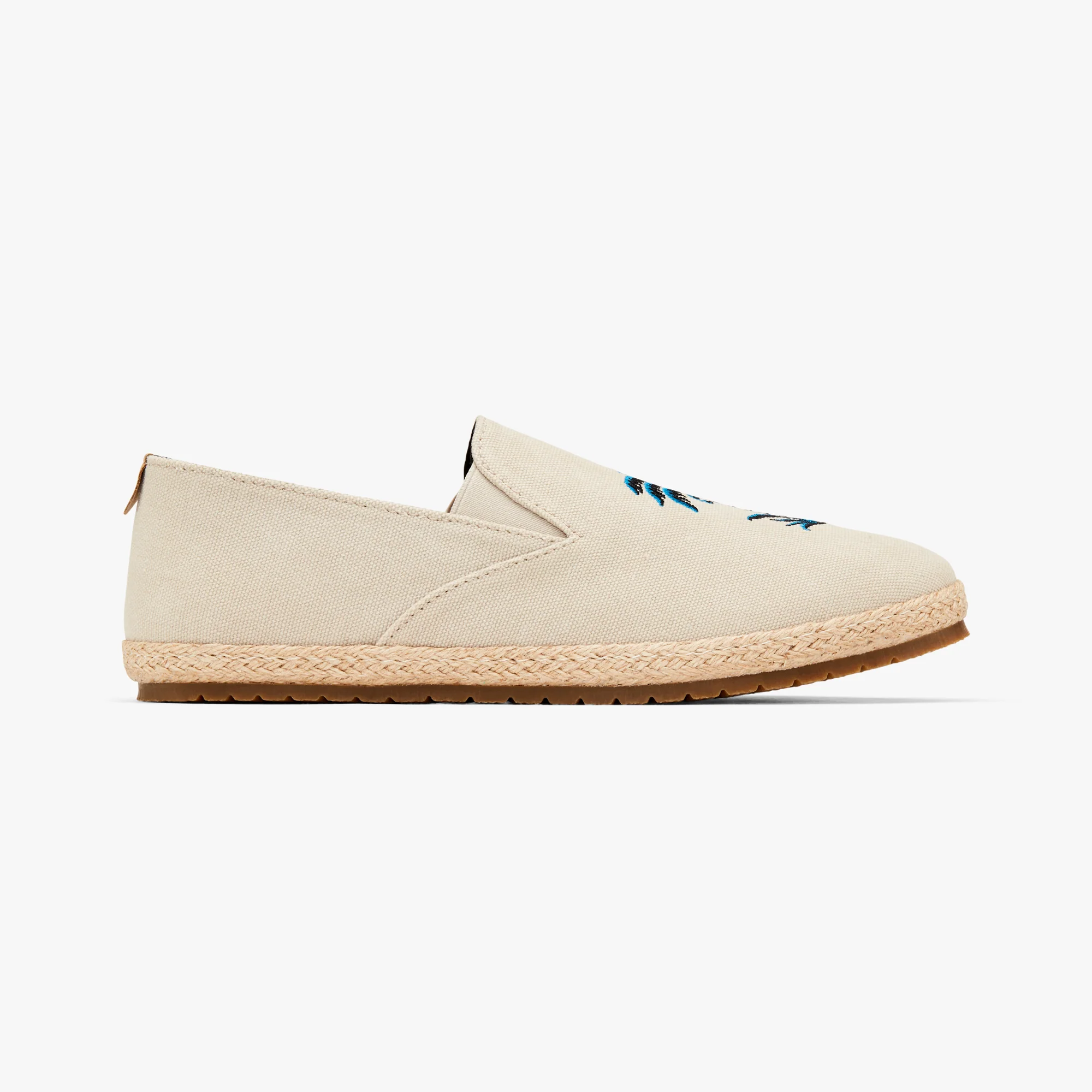 Blue Palm Seeker - Image 6